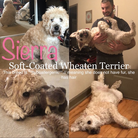 👋🏻 Coucou, je m’appelle Katee 💕 - Picture 3 of 4